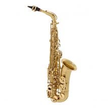 Elkhart 100AS Student Alto Saxophone - Nearly New
