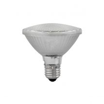 Omnilux PAR-30 230V SMD 6W E-27 LED Bulb White 3000K