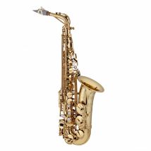 Theo Wanne Shakti Alto Saxophone - Ex Demo