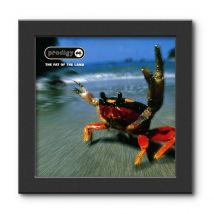 Show And Listen LP Frame Black