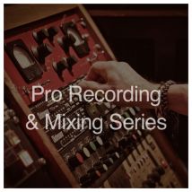 Secrets Of The Pros Pro Recording and Mixing