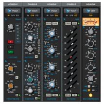 Universal Audio LUNA API Vision Console Emulation Bundle