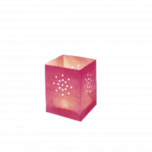 Maya Mini Rose x5