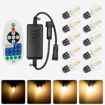 Lot 1 Variateur et 10 Ampoules Led Filament E27 Dimmables