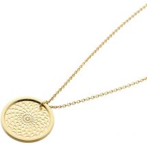 Ladies STORM PVD Gold plated Denzi Necklace