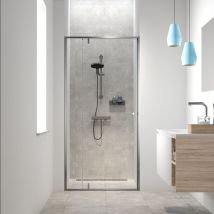 Sealskin - Douchedeur Contour 100 X 200cm - Geborsteld Staal Profiel - 6 Mm Helder Glas