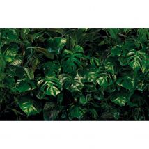 Komar Fotobehang Tropical Wall