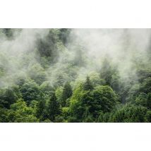 Komar Fotobehang Forest Land 400x250cm