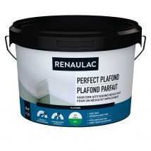 Renaulac Plafondverf Perfect Plafond Mat Wit 2,5l