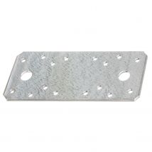 Alberts Verbindingsplaat Ruwstaal Verzinkt 133x55x2,5mm