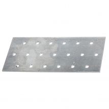 Alberts Koppelplaat Verzinkt 140x60x2mm