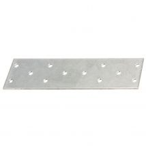Alberts Koppelplaat Verzinkt 155x40x2mm