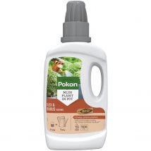 Pokon Bio Buxus & Ilex 500ml