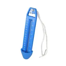 Summer Fun Thermometer Budget
