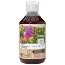 Pokon Bio Bodemaaltjes Concentraat - 500ml Voor 75m²