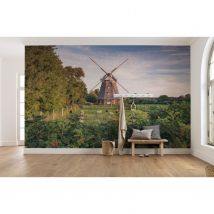 Komar Fotobehang Tage Wie Diese
