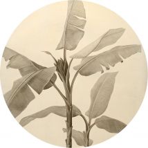 Komar Sticker Dots Banana Plant