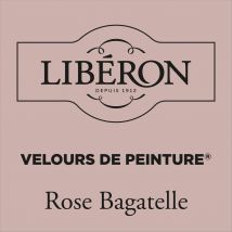 Libéron Muurverf Velours De Peinture Rose Bagatelle Fluweel Mat 2,5l