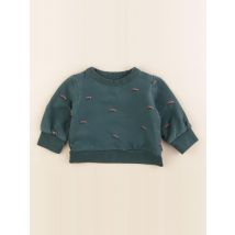 Sweat vert - Tiny Cottons - Vert - garçon & 9 mois - Seconde main