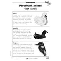 Riverbank fact cards