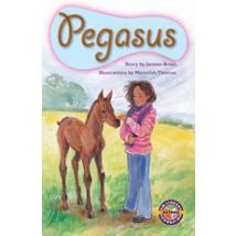 PM Ruby: Pegasus (PM Extras Chapter Books) Level 27/28 x 6
