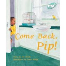 PM Turquoise: Come Back, Pip (PM Plus Storybooks) Level 17 x 6