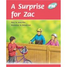 PM Turquoise: A Surprise for Zac (PM Plus Storybooks) Level 17 x 6