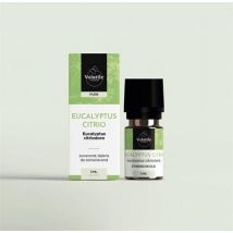 Volatile Eucalyptus citriodora 5ml