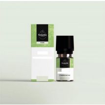 Volatile Eucalyptus wild 25ml