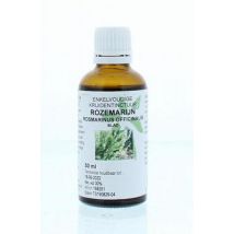 Natura Sanat Rosmarinus off fol / rozemarijn tinctuur 50ml