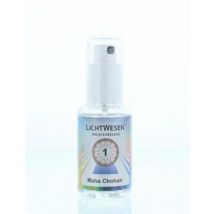 Lichtwesen Maha chohan tinctuur 1 30ml