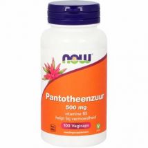 NOW Pantotheenzuur 500mg (B5) 100vc