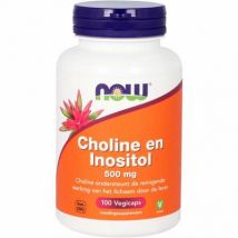 NOW Choline en inositol 500mg 100vc