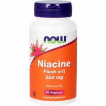 NOW Niacine flush vrij 250mg 90ca