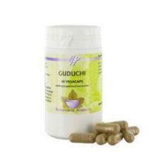 Holisan Guduchi 60vc