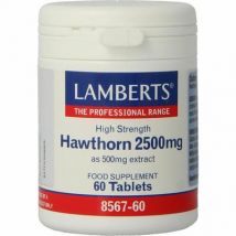 Lamberts Crataegus 2500mg (hawthorn) 60tb