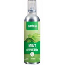 Purasana Frishi luchtverfrisser mint 100ml