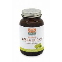 Mattisson Absolute amla berry extract 500mg 60vc