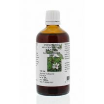 Natura Sanat Bacopa monnieri herb/bacopa tinctuur 100ml