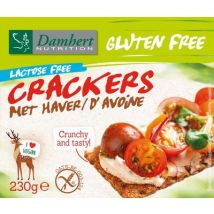 Damhert Crackers haver 230g
