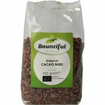 Bountiful Cacao nibs bio 250g