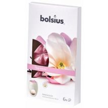 Bolsius True Scents waxmelts magnolia 6st