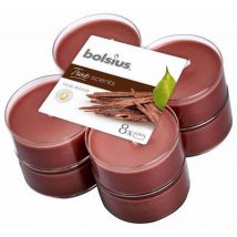 Bolsius True Scents maxilicht old wood 8st