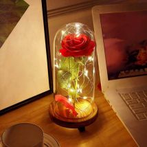 Easylife Enchanted Led Rose Light