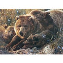 Pièces XXL - Grizzly Family