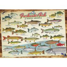 Freshwater Fish of North America