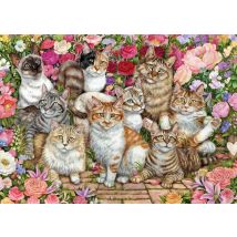 Floral Cats