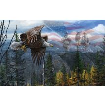 Kevin Daniel - May Freedom Fly Forever