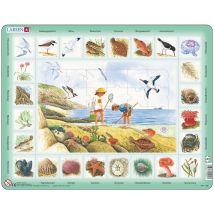 Puzzle Cadre - Apprendre l'Allemand : Le Bord de Mer (en Allemand)