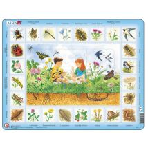 Puzzle Cadre - Farfalla a coda di rondine